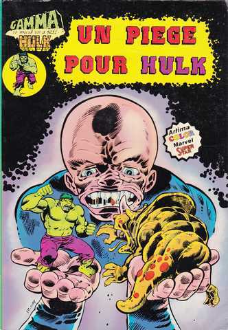 Collectif, Hulk n14 - Un pige pour hulk