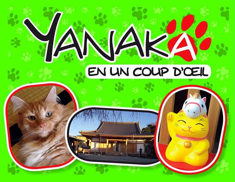 Collectif, Yanaka  en un coup d'oeil