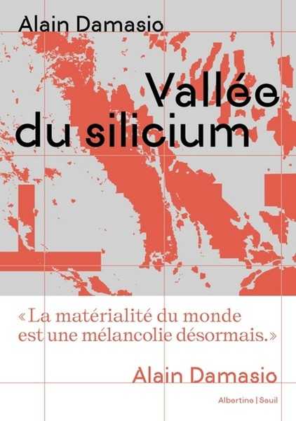 Damasio Alain, Valle du silicium