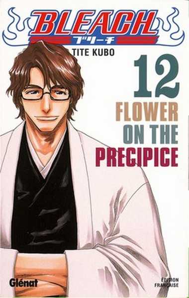 Kubo Tite, Bleach - Tome 12 - Flower On The Precipice