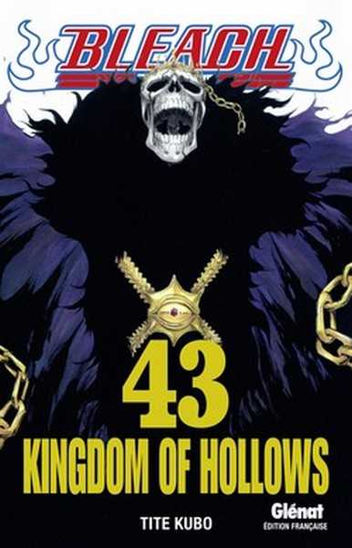 Kubo Tite, Bleach - Tome 43 - Kingdom Of Hollows