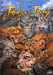 Arleston-c+mourier-j,Trolls De Troy T14 - L'histoire De Waha