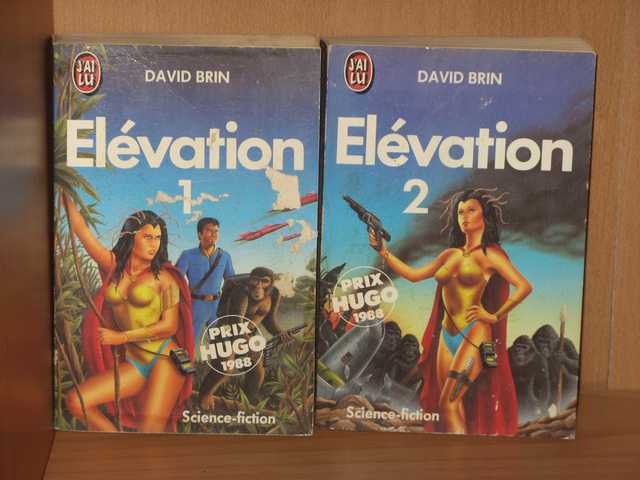 Brin David, Elevation 1 & 2