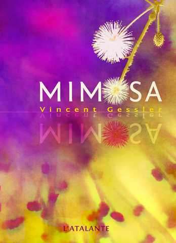 Gessler Vincent, Mimosa