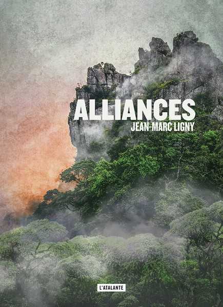 Ligny Jean-marc, Alliances