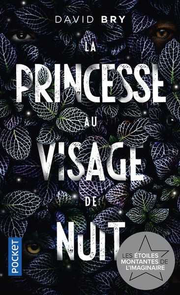 Bry David, La princesse au visage de nuit