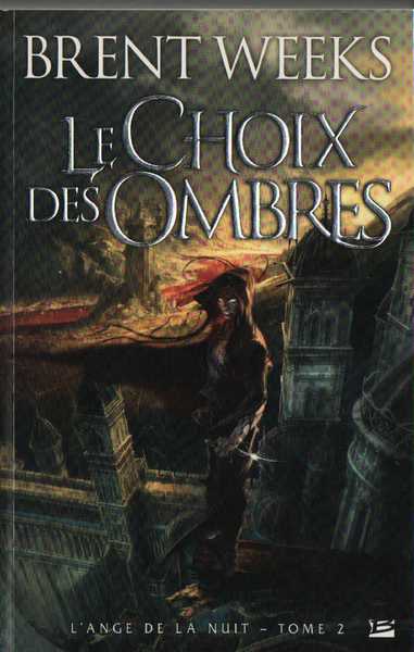 L'Ange de la nuit 2- Le choix des ombres