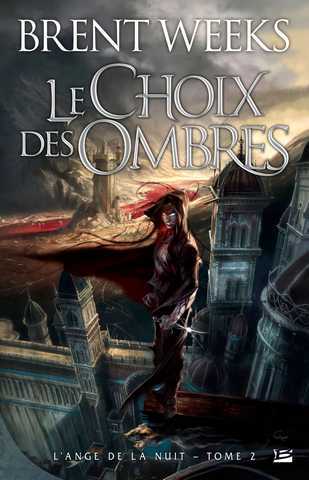 L'ange de la nuit 2 - Le choix des ombres