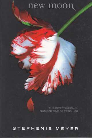 New Moon