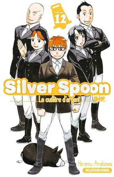 Silver spoon 12
