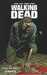 Kirkman Robert & Adlard Charlie,Walking dead 26 - L'appel aux armes